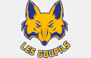 Liste des équipes engagées en championnat national - Jeunesse IDF -
