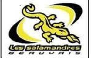 Tournoi à Beauvais dimanche 17 novembre!