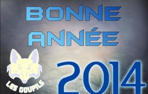 Bonne Année 2014