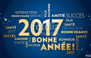 Bonne année 2017!