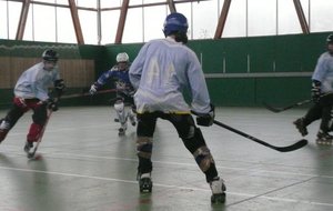 P1070025.JPG