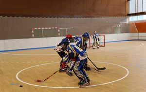 5a1b48406c500_IMG9979.JPG