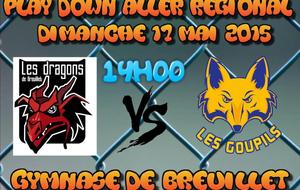 Play Down championnat régional