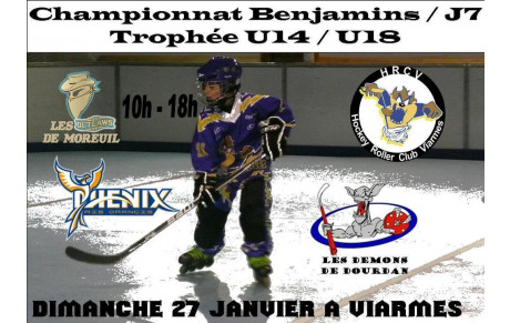 Championnat Benjamin le 27 janvier 2013 
