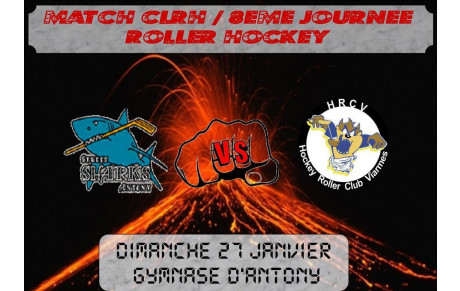 8ème Journée CLRH - Dimanche 27 janvier 2013