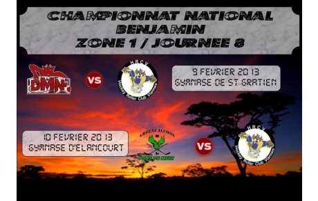 Championnat Benjamin les 9 et 10 février 2013