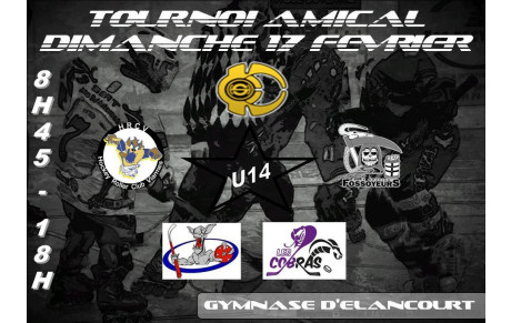 Tournoi des Rois à Elancourt le 17 février 2013