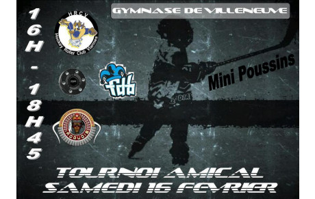 16 février 2013 - Villeneuve vs Viarmes -