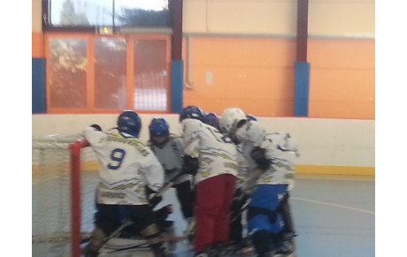 Samedi 9 février 2013 - Les benjamins à Saint Gratien - Asnières 1 vs Viarmes (15/2)