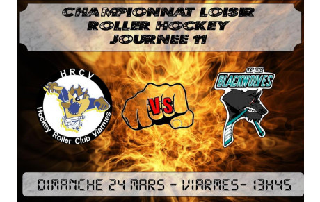 24 mars 2013 au gymnase de viarmes. .....