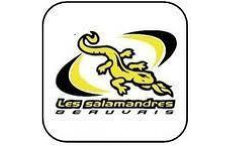 Un patinodrome à Beauvais le 13 avril 2012!