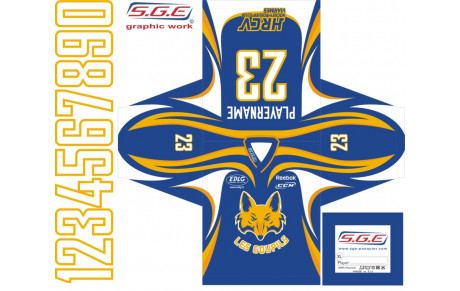 Nouveaux Maillots pour Le Hockey Roller Club de Viarmes