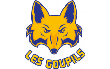 Liste des équipes engagées en championnat national - Jeunesse IDF -