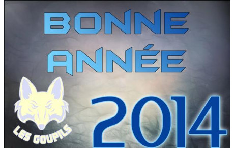 Bonne Année 2014