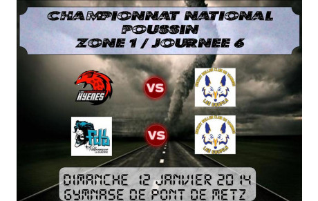 Journée 6 du championnat national poussins!
